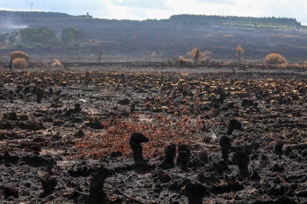 A guided visit is organized to the firefighters still active on the site of the fires in the Hautes Fagnes (High Fens) nature reserve, on Friday 21 August 2026. The fire started on August 14th and 3000 hectares (on a total of 4500) are impacted.  JULIENxWARNAND 183919920