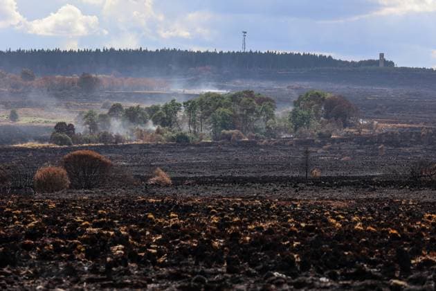 A guided visit is organized to the firefighters still active on the site of the fires in the Hautes Fagnes (High Fens) nature reserve, on Friday 21 August 2026. The fire started on August 14th and 3000 hectares (on a total of 4500) are impacted.  JULIENxWARNAND 183919921