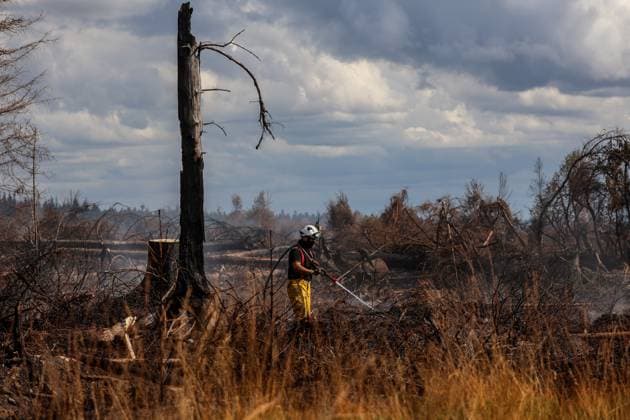 A guided visit is organized to the firefighters still active on the site of the fires in the Hautes Fagnes (High Fens) nature reserve, on Friday 21 August 2026. The fire started on August 14th and 3000 hectares (on a total of 4500) are impacted.  JULIENxWARNAND 183919918