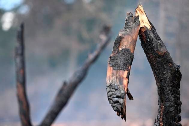 Fire in the Belgian High Fens 21 08 2026 HAUTES FAGNES, BELGIUM - AUGUST 21 : Fire in the Belgian High Fens «The worst fire in Belgium s history» (Signal de Botrange) & visites encadrées par les services d intervention on August 21, 2026 in Hautes Fagnes, Belgium, 21 08 2026 Hautes Fagnes Belgium  Copyright: xDidierxLebrunx