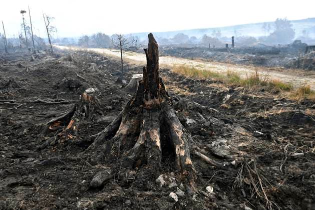 Fire in the Belgian High Fens 21 08 2026 HAUTES FAGNES, BELGIUM - AUGUST 21 : Fire in the Belgian High Fens «The worst fire in Belgium s history» (Signal de Botrange) & visites encadrées par les services d intervention on August 21, 2026 in Hautes Fagnes, Belgium, 21 08 2026 Hautes Fagnes Belgium  Copyright: xDidierxLebrunx