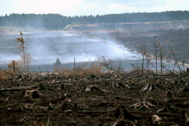 Fire in the Belgian High Fens 21 08 2026 HAUTES FAGNES, BELGIUM - AUGUST 21 : Fire in the Belgian High Fens «The worst fire in Belgium s history» (Signal de Botrange) & visites encadrées par les services d intervention on August 21, 2026 in Hautes Fagnes, Belgium, 21 08 2026 Hautes Fagnes Belgium  Copyright: xDidierxLebrunx