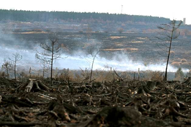 Fire in the Belgian High Fens 21 08 2026 HAUTES FAGNES, BELGIUM - AUGUST 21 : Fire in the Belgian High Fens «The worst fire in Belgium s history» (Signal de Botrange) & visites encadrées par les services d intervention on August 21, 2026 in Hautes Fagnes, Belgium, 21 08 2026 Hautes Fagnes Belgium  Copyright: xDidierxLebrunx