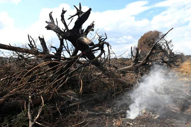 Fire in the Belgian High Fens 21 08 2026 HAUTES FAGNES, BELGIUM - AUGUST 21 : Fire in the Belgian High Fens «The worst fire in Belgium s history» (Signal de Botrange) & visites encadrées par les services d intervention on August 21, 2026 in Hautes Fagnes, Belgium, 21 08 2026 Hautes Fagnes Belgium  Copyright: xDidierxLebrunx