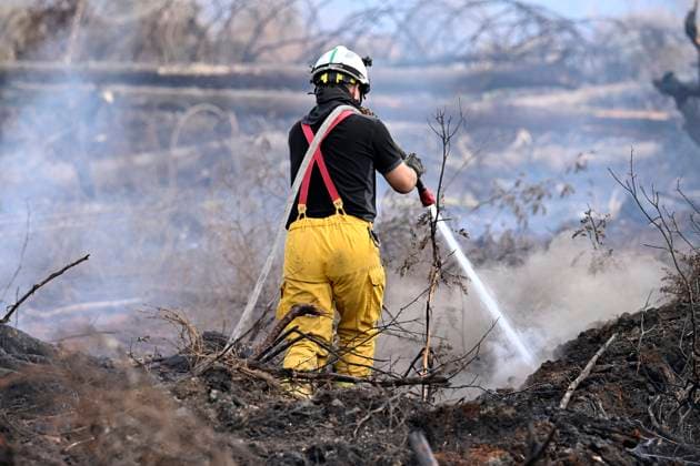 Fire in the Belgian High Fens 21 08 2026 HAUTES FAGNES, BELGIUM - AUGUST 21 : Fire in the Belgian High Fens «The worst fire in Belgium s history» (Signal de Botrange) & visites encadrées par les services d intervention on August 21, 2026 in Hautes Fagnes, Belgium, 21 08 2026 Hautes Fagnes Belgium  Copyright: xDidierxLebrunx