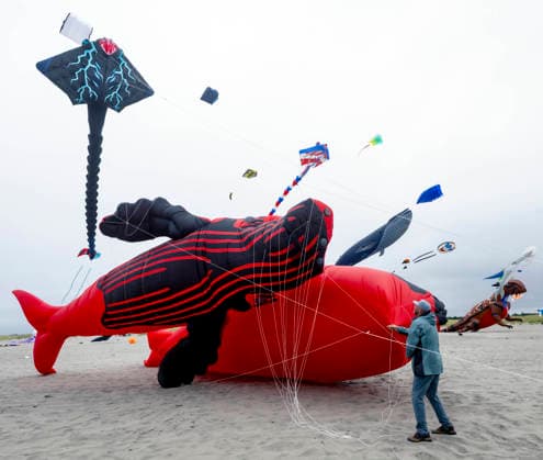 August 21,, 2026 - Long Beach, Washington , USA: The Washington State International Kite Festival is a week-long celebration of kites and kite flying. Held annually during the third full week of August, the prevailing winds off the Pacific Ocean usually provide ample lift for the outsized kites. Long Beach USA  - ZUMAce6_ 20260821_zaf_ce6_003 Copyright: xBrianxCahnx