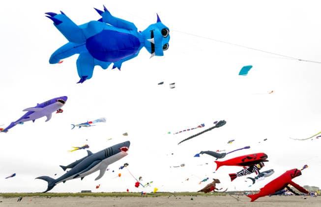 August 21,, 2026 - Long Beach, Washington , USA: The Washington State International Kite Festival is a week-long celebration of kites and kite flying. Held annually during the third full week of August, the prevailing winds off the Pacific Ocean usually provide ample lift for the outsized kites. Long Beach USA  - ZUMAce6_ 20260821_zaf_ce6_010 Copyright: xBrianxCahnx