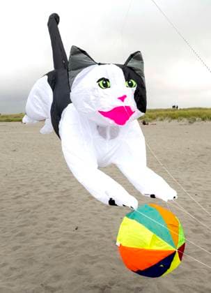 August 21,, 2026 - Long Beach, Washington , USA: The Washington State International Kite Festival is a week-long celebration of kites and kite flying. Held annually during the third full week of August, the prevailing winds off the Pacific Ocean usually provide ample lift for the outsized kites. Long Beach USA  - ZUMAce6_ 20260821_zaf_ce6_015 Copyright: xBrianxCahnx