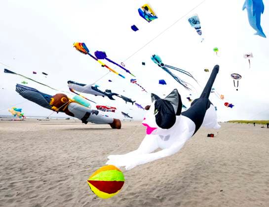 August 21,, 2026 - Long Beach, Washington , USA: The Washington State International Kite Festival is a week-long celebration of kites and kite flying. Held annually during the third full week of August, the prevailing winds off the Pacific Ocean usually provide ample lift for the outsized kites. Long Beach USA  - ZUMAce6_ 20260821_zaf_ce6_016 Copyright: xBrianxCahnx