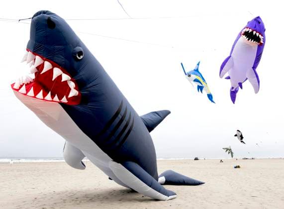 August 21,, 2026 - Long Beach, Washington , USA: The Washington State International Kite Festival is a week-long celebration of kites and kite flying. Held annually during the third full week of August, the prevailing winds off the Pacific Ocean usually provide ample lift for the outsized kites. Long Beach USA  - ZUMAce6_ 20260821_zaf_ce6_018 Copyright: xBrianxCahnx