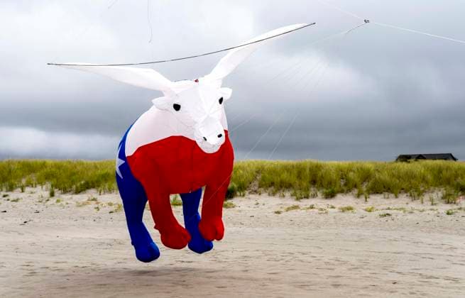 August 21,, 2026 - Long Beach, Washington , USA: The Washington State International Kite Festival is a week-long celebration of kites and kite flying. Held annually during the third full week of August, the prevailing winds off the Pacific Ocean usually provide ample lift for the outsized kites. Long Beach USA  - ZUMAce6_ 20260821_zaf_ce6_023 Copyright: xBrianxCahnx