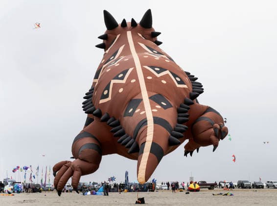 August 21,, 2026 - Long Beach, Washington , USA: The Washington State International Kite Festival is a week-long celebration of kites and kite flying. Held annually during the third full week of August, the prevailing winds off the Pacific Ocean usually provide ample lift for the outsized kites. Long Beach USA  - ZUMAce6_ 20260821_zaf_ce6_024 Copyright: xBrianxCahnx