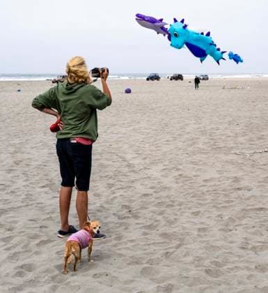 August 21,, 2026 - Long Beach, Washington , USA: The Washington State International Kite Festival is a week-long celebration of kites and kite flying. Held annually during the third full week of August, the prevailing winds off the Pacific Ocean usually provide ample lift for the outsized kites. Long Beach USA  - ZUMAce6_ 20260821_zaf_ce6_036 Copyright: xBrianxCahnx