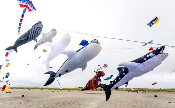 August 21,, 2026 - Long Beach, Washington , USA: The Washington State International Kite Festival is a week-long celebration of kites and kite flying. Held annually during the third full week of August, the prevailing winds off the Pacific Ocean usually provide ample lift for the outsized kites. Long Beach USA - ZUMAce6_ 20260821_zaf_ce6_007 Copyright: xBrianxCahnx