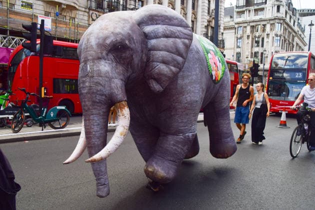 August 22, 2026, London, England, United Kingdom: A protester wears an inflatable elephant costume during the National Animal Rights March. Animal rights activists, protesters, and members of various organisations marched through Central London in support of animal rights, in protest against all forms of animal exploitation, and urged people to go vegan. London United Kingdom  - ZUMAv130 20260822_zip_v130_002 Copyright: xVukxValcicx