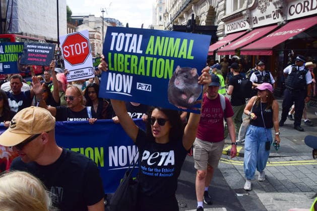 August 22, 2026, London, England, United Kingdom: Protesters hold placards calling for total animal liberation during the National Animal Rights March. Animal rights activists, protesters, and members of various organisations marched through Central London in support of animal rights, in protest against all forms of animal exploitation, and urged people to go vegan. London United Kingdom - ZUMAv130 20260822_zip_v130_003 Copyright: xVukxValcicx