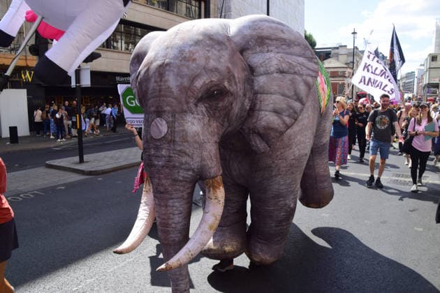August 22, 2026, London, England, United Kingdom: A protester wears an inflatable elephant costume during the National Animal Rights March. Animal rights activists, protesters, and members of various organisations marched through Central London in support of animal rights, in protest against all forms of animal exploitation, and urged people to go vegan. London United Kingdom - ZUMAv130 20260822_zip_v130_005 Copyright: xVukxValcicx