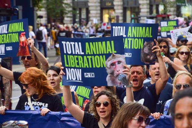August 22, 2026, London, England, United Kingdom: Protesters hold placards calling for total animal liberation during the National Animal Rights March. Animal rights activists, protesters, and members of various organisations marched through Central London in support of animal rights, in protest against all forms of animal exploitation, and urged people to go vegan. London United Kingdom - ZUMAv130 20260822_zip_v130_006 Copyright: xVukxValcicx