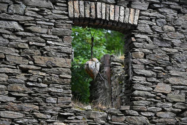 The Land and Art festival draws artists from the Czech Republic and Germany - sculptors, woodcarvers, photographers, painters and others who can contribute to the revitalization of the abandoned settlement in Konigsmuhle or King s Mill in Haj, Czech-German border, Czech Republic, August 22, 2026. The event includes workshops, lectures and film screenings focussing on the landscape and history of this area. In most cases, the works of art made here are linked to the history of Konigsmuhle. (CTKxPhoto SlavomirxKubes) CTKPhotoP2026082203629  CTKPhotoP2026082203629