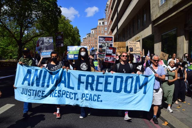 August 22, 2026, London, England, United Kingdom: Protesters pass through Park Lane during the National Animal Rights March. Animal rights activists, protesters, and members of various organisations marched through Central London in support of animal rights, in protest against all forms of animal exploitation, and urged people to go vegan. London United Kingdom - ZUMAv130 20260822_zip_v130_023 Copyright: xVukxValcicx