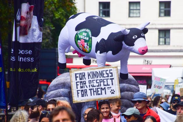August 22, 2026, London, England, United Kingdom: Protesters carry an inflatable cow during the National Animal Rights March. Animal rights activists, protesters, and members of various organisations marched through Central London in support of animal rights, in protest against all forms of animal exploitation, and urged people to go vegan. London United Kingdom  - ZUMAv130 20260822_zip_v130_024 Copyright: xVukxValcicx