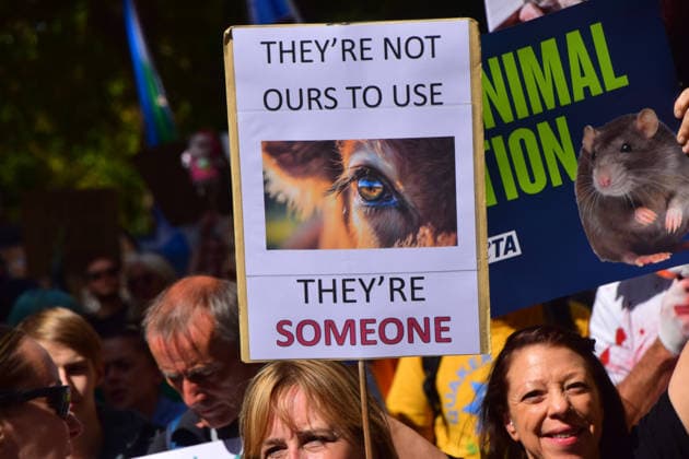 August 22, 2026, London, England, United Kingdom: Protesters pass through Park Lane during the National Animal Rights March. Animal rights activists, protesters, and members of various organisations marched through Central London in support of animal rights, in protest against all forms of animal exploitation, and urged people to go vegan. London United Kingdom - ZUMAv130 20260822_zip_v130_026 Copyright: xVukxValcicx