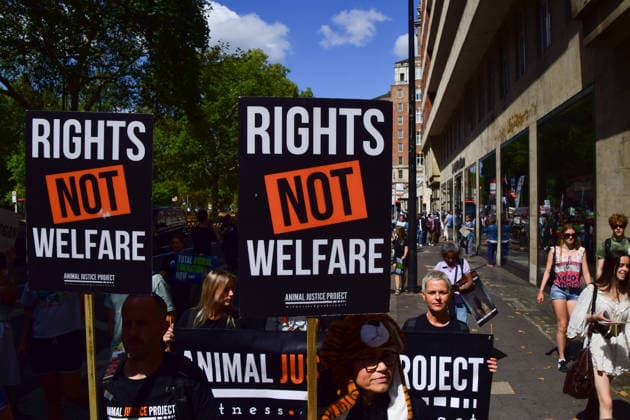August 22, 2026, London, England, United Kingdom: Protesters pass through Park Lane during the National Animal Rights March. Animal rights activists, protesters, and members of various organisations marched through Central London in support of animal rights, in protest against all forms of animal exploitation, and urged people to go vegan. London United Kingdom - ZUMAv130 20260822_zip_v130_031 Copyright: xVukxValcicx