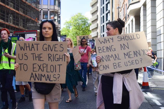 August 22, 2026, London, England, United Kingdom: Protesters pass through Mayfair during the National Animal Rights March. Animal rights activists, protesters, and members of various organisations marched through Central London in support of animal rights, in protest against all forms of animal exploitation, and urged people to go vegan. London United Kingdom  - ZUMAv130 20260822_zip_v130_032 Copyright: xVukxValcicx
