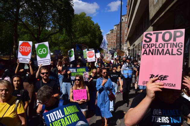 August 22, 2026, London, England, United Kingdom: Protesters pass through Park Lane during the National Animal Rights March. Animal rights activists, protesters, and members of various organisations marched through Central London in support of animal rights, in protest against all forms of animal exploitation, and urged people to go vegan. London United Kingdom - ZUMAv130 20260822_zip_v130_041 Copyright: xVukxValcicx