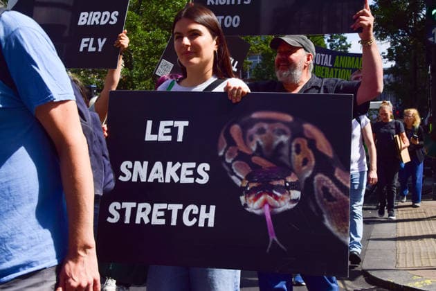 August 22, 2026, London, England, United Kingdom: A protester holds a Let snakes stretch placard during the National Animal Rights March. Animal rights activists, protesters, and members of various organisations marched through Central London in support of animal rights, in protest against all forms of animal exploitation, and urged people to go vegan. London United Kingdom  - ZUMAv130 20260822_zip_v130_044 Copyright: xVukxValcicx