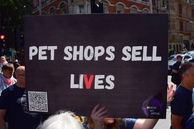 August 22, 2026, London, England, United Kingdom: A protester holds a placard opposed to pet stores during the National Animal Rights March. Animal rights activists, protesters, and members of various organisations marched through Central London in support of animal rights, in protest against all forms of animal exploitation, and urged people to go vegan. London United Kingdom  - ZUMAv130 20260822_zip_v130_047 Copyright: xVukxValcicx