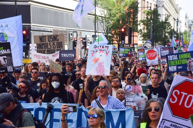 August 22, 2026, London, England, United Kingdom: Protesters pass through Oxford Street during the National Animal Rights March. Animal rights activists, protesters, and members of various organisations marched through Central London in support of animal rights, in protest against all forms of animal exploitation, and urged people to go vegan. London United Kingdom  - ZUMAv130 20260822_zip_v130_048 Copyright: xVukxValcicx