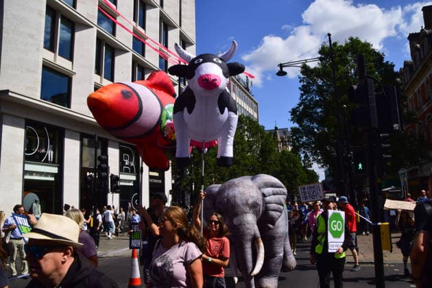 August 22, 2026, London, England, United Kingdom: Protesters pass through Oxford Street during the National Animal Rights March. Animal rights activists, protesters, and members of various organisations marched through Central London in support of animal rights, in protest against all forms of animal exploitation, and urged people to go vegan. London United Kingdom - ZUMAv130 20260822_zip_v130_042 Copyright: xVukxValcicx