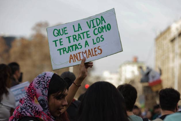 Santiago, August 22, 2026: Environmental groups march down the Alameda, the capital s main thoroughfare. Christian Monsalve, Aton Chile, Santiago, Chile. Aton 1182713  Copyright: CHRISTIANxMONSALVE ATONxCHILE