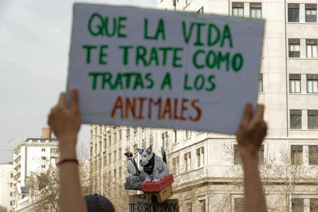 Santiago, August 22, 2026: Environmental groups march down the Alameda, the capital s main thoroughfare. Christian Monsalve, Aton Chile, Santiago, Chile. Aton 1182716  Copyright: CHRISTIANxMONSALVE ATONxCHILE