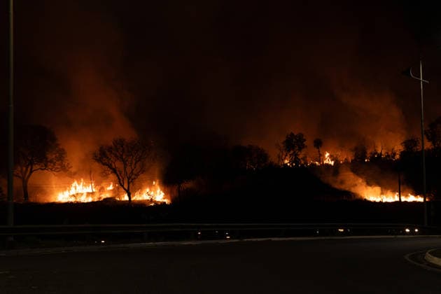 Wildfire burns vegetation along Washington Luis Highway in Sao Jose do Rio Preto A large vegetation fire burns along the Washington Luis Highway (SP-310) in Sao Jose do Rio Preto, Sao Paulo, Brazil, on August 22, 2026. Sao Jose do Rio Preto SP-310 Sao Paulo Brazil