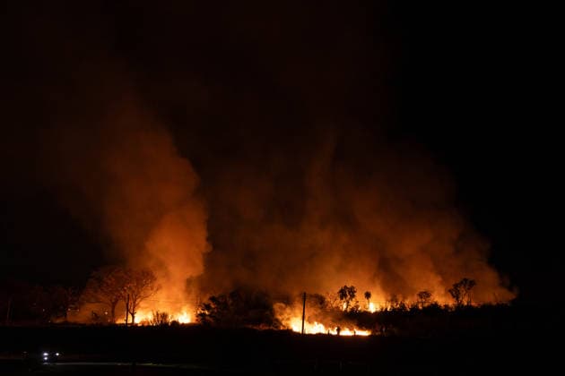 Wildfire burns vegetation along Washington Luis Highway in Sao Jose do Rio Preto A large vegetation fire burns along the Washington Luis Highway (SP-310) in Sao Jose do Rio Preto, Sao Paulo, Brazil, on August 22, 2026. Sao Jose do Rio Preto SP-310 Sao Paulo Brazil