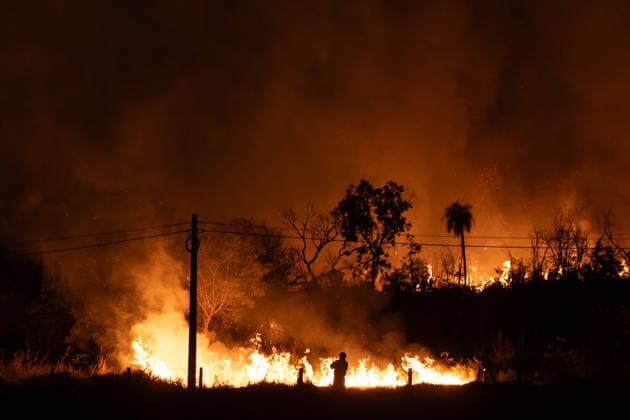Wildfire burns vegetation along Washington Luis Highway in Sao Jose do Rio Preto A firefighter battles a large vegetation fire along the Washington Luis Highway (SP-310) in Sao Jose do Rio Preto, Sao Paulo, Brazil, on August 22, 2026. Sao Jose do Rio Preto SP-310 Sao Paulo Brazil