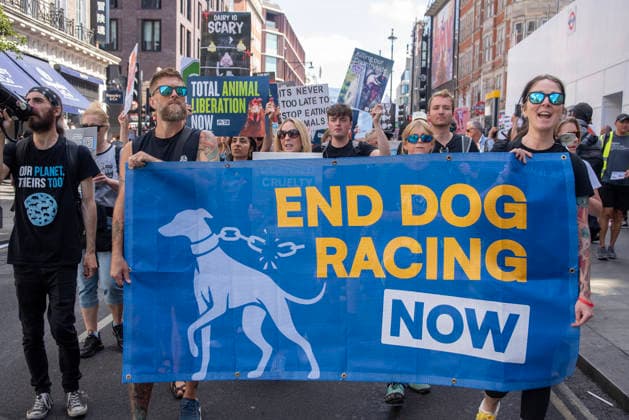 August 22, 2026, London, United Kingdom: Activists march with placards and a banner during the demonstration. Animal rights activists gathered in central London, UK to march on the 10th National Animal Rights March (NARM). During the march the protesters raise awareness to treat the animals fairly and not being used as a property or resources. London United Kingdom - ZUMAs197 20260822_aaa_s197_350 Copyright: xKrisztianxElekx