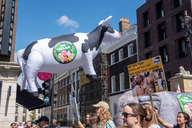 August 22, 2026, London, United Kingdom: An activist holds a cow shaped balloon during the demonstration. Animal rights activists gathered in central London, UK to march on the 10th National Animal Rights March (NARM). During the march the protesters raise awareness to treat the animals fairly and not being used as a property or resources. London United Kingdom - ZUMAs197 20260822_aaa_s197_355 Copyright: xKrisztianxElekx