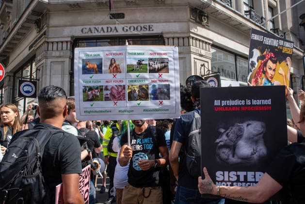 August 22, 2026, London, United Kingdom: Activists hold placards outside the Canada Goose store during the demonstration. Animal rights activists gathered in central London, UK to march on the 10th National Animal Rights March (NARM). During the march the protesters raise awareness to treat the animals fairly and not being used as a property or resources. London United Kingdom  - ZUMAs197 20260822_aaa_s197_366 Copyright: xKrisztianxElekx