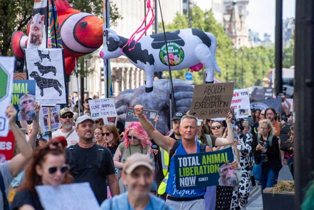 August 22, 2026, London, United Kingdom: Activists gather during the demonstration. Animal rights activists gathered in central London, UK to march on the 10th National Animal Rights March (NARM). During the march the protesters raise awareness to treat the animals fairly and not being used as a property or resources. London United Kingdom  - ZUMAs197 20260822_aaa_s197_367 Copyright: xKrisztianxElekx