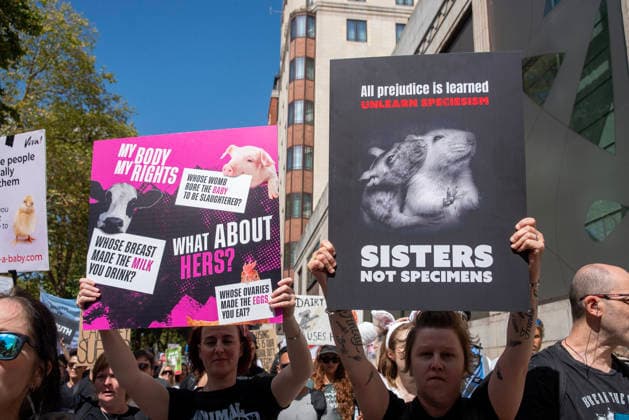 August 22, 2026, London, United Kingdom: Activists hold placards during the demonstration. Animal rights activists gathered in central London, UK to march on the 10th National Animal Rights March (NARM). During the march the protesters raise awareness to treat the animals fairly and not being used as a property or resources. London United Kingdom  - ZUMAs197 20260822_aaa_s197_368 Copyright: xKrisztianxElekx
