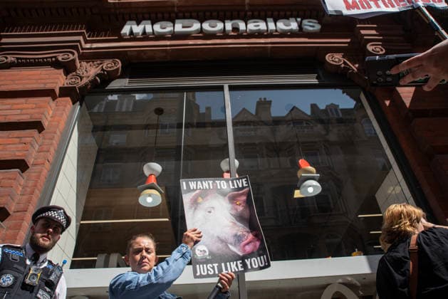 August 22, 2026, London, United Kingdom: An activist holds a placard outside of a McDonald s restaurant during the demonstration. Animal rights activists gathered in central London, UK to march on the 10th National Animal Rights March (NARM). During the march the protesters raise awareness to treat the animals fairly and not being used as a property or resources. London United Kingdom - ZUMAs197 20260822_aaa_s197_359 Copyright: xKrisztianxElekx