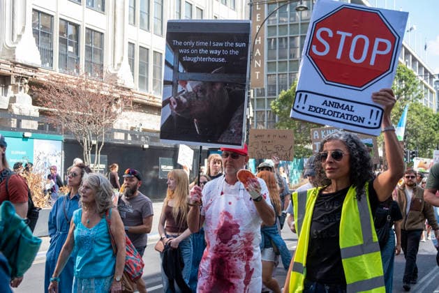 August 22, 2026, London, United Kingdom: An activist wears a white cloth stained with red color holds a placard expressing his opinion during the demonstration. Animal rights activists gathered in central London, UK to march on the 10th National Animal Rights March (NARM). During the march the protesters raise awareness to treat the animals fairly and not being used as a property or resources. London United Kingdom  - ZUMAs197 20260822_aaa_s197_380 Copyright: xKrisztianxElekx