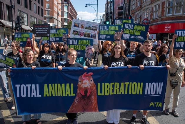 August 22, 2026, London, United Kingdom: PETA (People for the Ethical Treatment of Animals) activists hold a banner and placards during the demonstration. Animal rights activists gathered in central London, UK to march on the 10th National Animal Rights March (NARM). During the march the protesters raise awareness to treat the animals fairly and not being used as a property or resources. London United Kingdom - ZUMAs197 20260822_aaa_s197_365 Copyright: xKrisztianxElekx