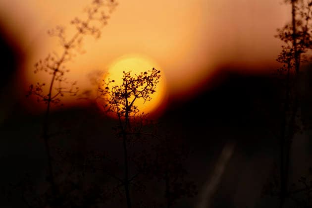 News Bilder des Tages Seasonal weather, sunrise The days sun rises over the countryside on a fresh morning in the countryside, Credit:Geoffrey Swaine Geoff Swaine - B4563 Avalon UK, Oxfordshire, Dunsden  Copyright: xGeoffreyxSwainex xGeoffxSwainex-xB4563x xAvalonx 1127732448