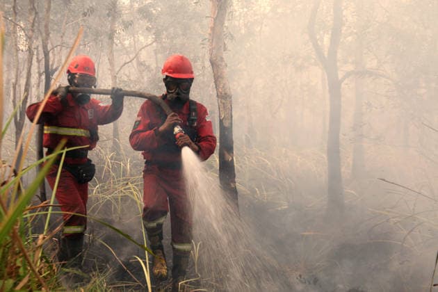 Indonesian firefighters battle wildfires in South Sumatra OGAN ILIR, INDONESIA - AUGUST 22: Indonesian firefighters from Manggala Agni try to extinguish wildfires in Pamulutan Regency, Ogan Ilir, South Sumatra, Indonesia, on August 22, 2026. Indonesian President Prabowo Subianto personally inspected the wildfires in Kalimantan on August 22 and instructed swift, integrated and simultaneous efforts to address the fires. These instructions included increasing the number of field personnel, deploying more than 17 additional water-bombing helicopters, and deploying 1,500 additional Indonesian National Armed Forces (TNI) personnel. Muhammad Fajri Anadolu South Sumatra Indonesia. Editorial use only. Please get in touch for any other usage.  Copyright: x2026xAnadoluxMuhammadxFajrix