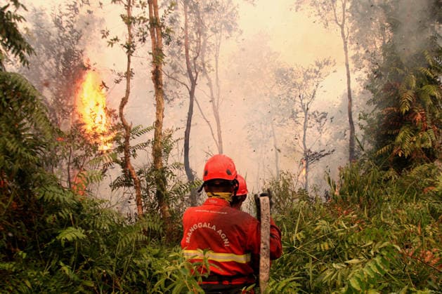 Indonesian firefighters battle wildfires in South Sumatra OGAN ILIR, INDONESIA - AUGUST 22: Indonesian firefighters from Manggala Agni try to extinguish wildfires in Pamulutan Regency, Ogan Ilir, South Sumatra, Indonesia, on August 22, 2026. Indonesian President Prabowo Subianto personally inspected the wildfires in Kalimantan on August 22 and instructed swift, integrated and simultaneous efforts to address the fires. These instructions included increasing the number of field personnel, deploying more than 17 additional water-bombing helicopters, and deploying 1,500 additional Indonesian National Armed Forces (TNI) personnel. Muhammad Fajri Anadolu South Sumatra Indonesia. Editorial use only. Please get in touch for any other usage.  Copyright: x2026xAnadoluxMuhammadxFajrix
