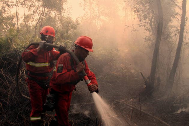 Indonesian firefighters battle wildfires in South Sumatra OGAN ILIR, INDONESIA - AUGUST 22: Indonesian firefighters from Manggala Agni try to extinguish wildfires in Pamulutan Regency, Ogan Ilir, South Sumatra, Indonesia, on August 22, 2026. Indonesian President Prabowo Subianto personally inspected the wildfires in Kalimantan on August 22 and instructed swift, integrated and simultaneous efforts to address the fires. These instructions included increasing the number of field personnel, deploying more than 17 additional water-bombing helicopters, and deploying 1,500 additional Indonesian National Armed Forces (TNI) personnel. Muhammad Fajri Anadolu South Sumatra Indonesia. Editorial use only. Please get in touch for any other usage.  Copyright: x2026xAnadoluxMuhammadxFajrix
